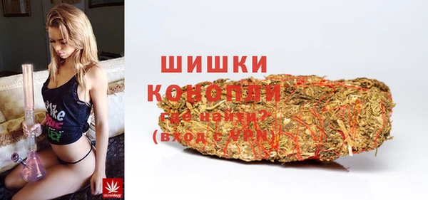 индика Пересвет