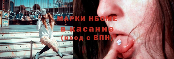 индика Пересвет