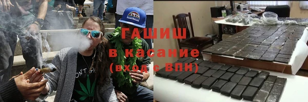 индика Пересвет